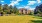 a large green lawn with a building in the background