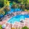 a pool surrounded by trees