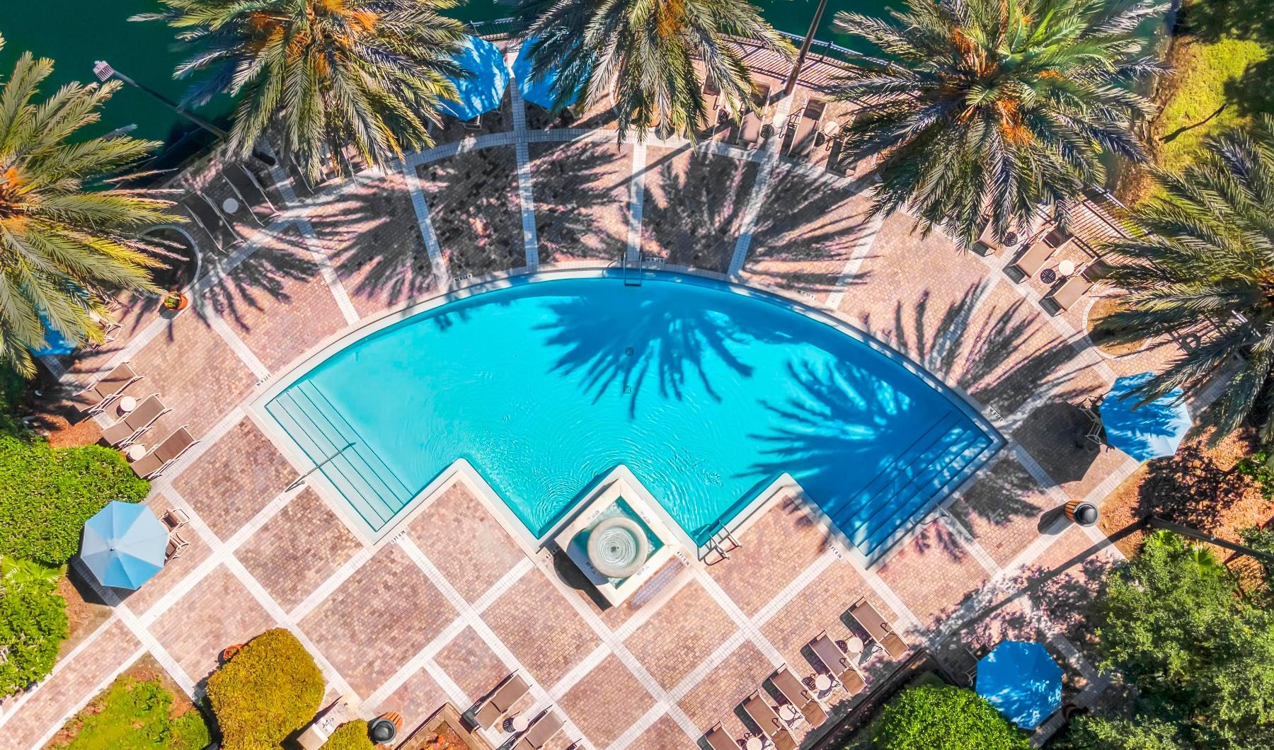 a swimming pool surrounded by palm trees